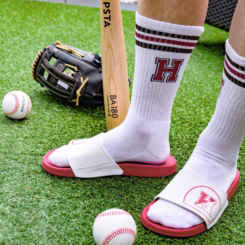 【NCAA】 哈佛大學Harvard 羅紋配條中筒長襪 (男款)