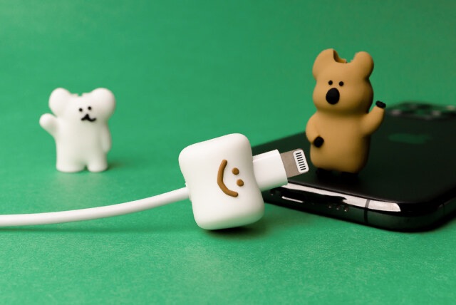 韓國🇰🇷 正版 Dinotaeng 短尾矮袋鼠 文創-短尾矮袋鼠 充電線保護套