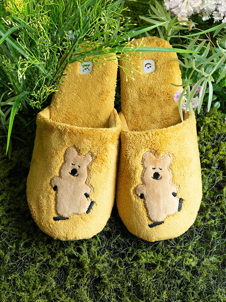 韓國🇰🇷 正版 Dinotaeng 短尾矮袋鼠 文創-Happy Quokka Slippers 家用拖鞋 （3款）